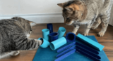 Enhancing Feline Fun: Exploring Zooplus Interactive Cat Toys